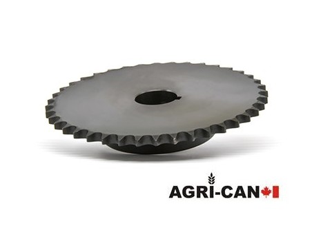 1-7/16'' Bore Sprocket (RC60)