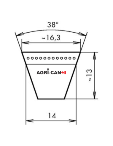 Belt for Maschio Barbi, Bella, Brava, Giraffa,...