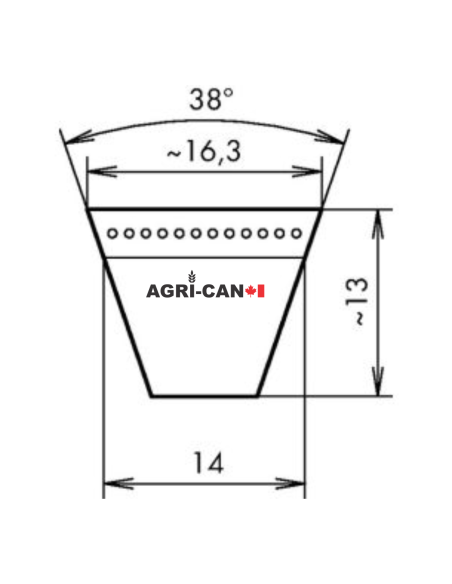 Belt for Kuhn, Vicon, Maschio, Nobili, and PZ - 1600mm