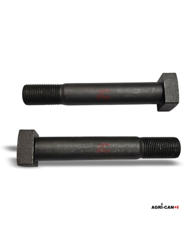 Flail Bolt for Berti – M18 X 1.50 – VTQ27M18/3921